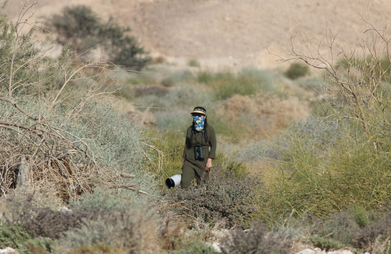 以色列，闯入“禁区”的观鸟人