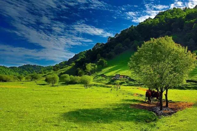 大水川自然风光介绍,大水川景色美吗