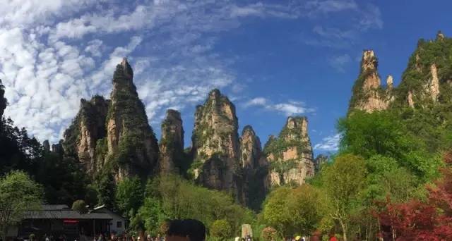 张家界为什么导游多,张家界自由行导游坑不坑
