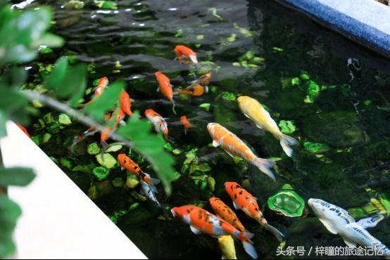 穿越千年走进吴哥,穿越时空的吴哥