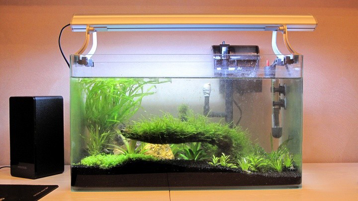 热爱生活从装饰多彩明媚的家开始,不再年轻的我们