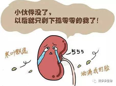 肾积水——尿都堵了，肾怎么能好