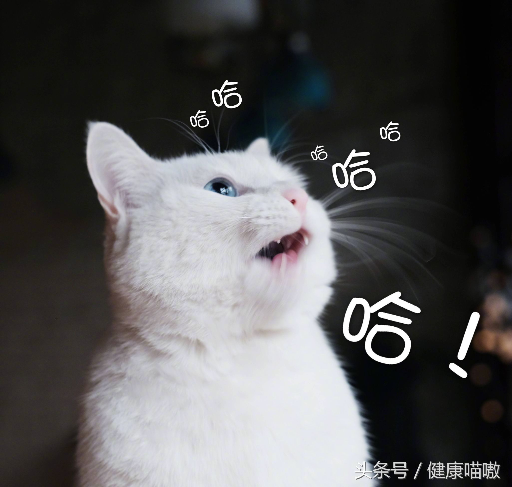 如何减少皱纹的产生,永葆青春