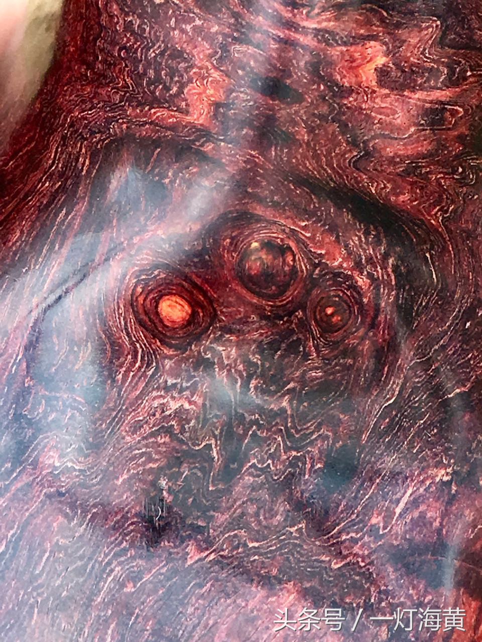 降香“有毒”，爱上海黄就是条“不归路”，带您领略真正在海黄