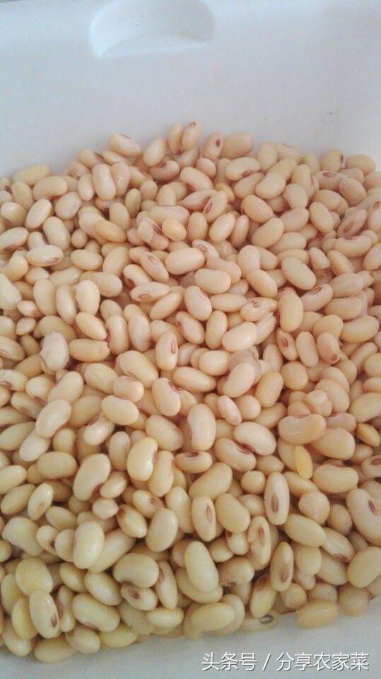 黄豆放在冰箱里泡1天还能吃吗,黄豆怎么让它发霉