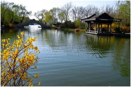 天上掉下个林妹妹黄梅戏,天上掉下个林妹妹电影在线观看