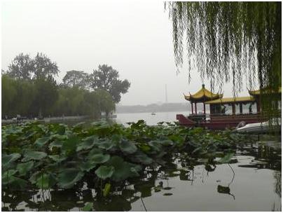 天上掉下个林妹妹黄梅戏,天上掉下个林妹妹电影在线观看