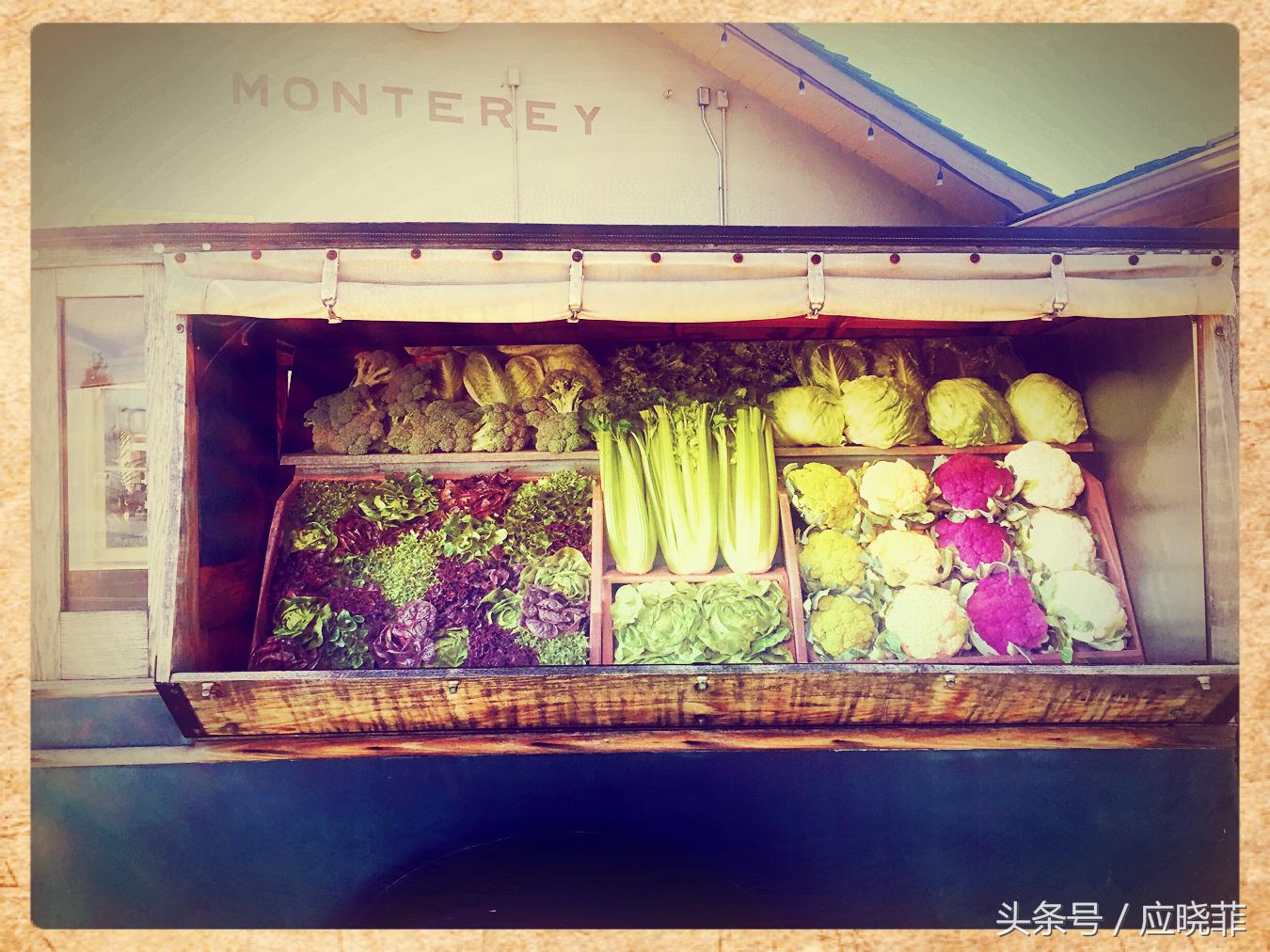 生活在别处米兰昆德拉,生活在别处英文