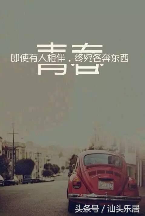 置青春，莫待所有结局已写好，空流泪