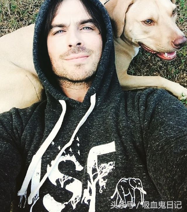 伊恩·萨默海尔德达蒙,吸血鬼日记达蒙和斯特凡扮演者