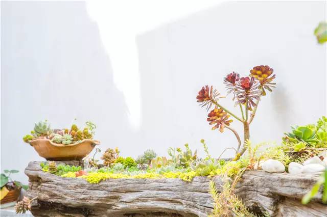 大理小众客栈,大理有一个什么客栈