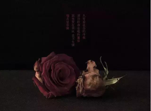 有哪些歌最打动你,哪些歌词打动人心