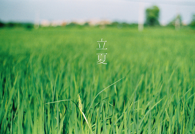 别乱作妖了～买一双经典的小白鞋～百搭又舒服