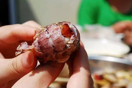 吃的真相|是膏不是胶!皮皮虾,这锅我们不背!