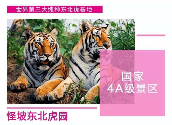 沈阳周边遛娃一日游最佳去处,沈南附近游玩的地方推荐