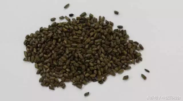 鏄庣湼鍠勭潗缇庣灣,鏄庣湼鍠勭潗娓呬附鑴变織