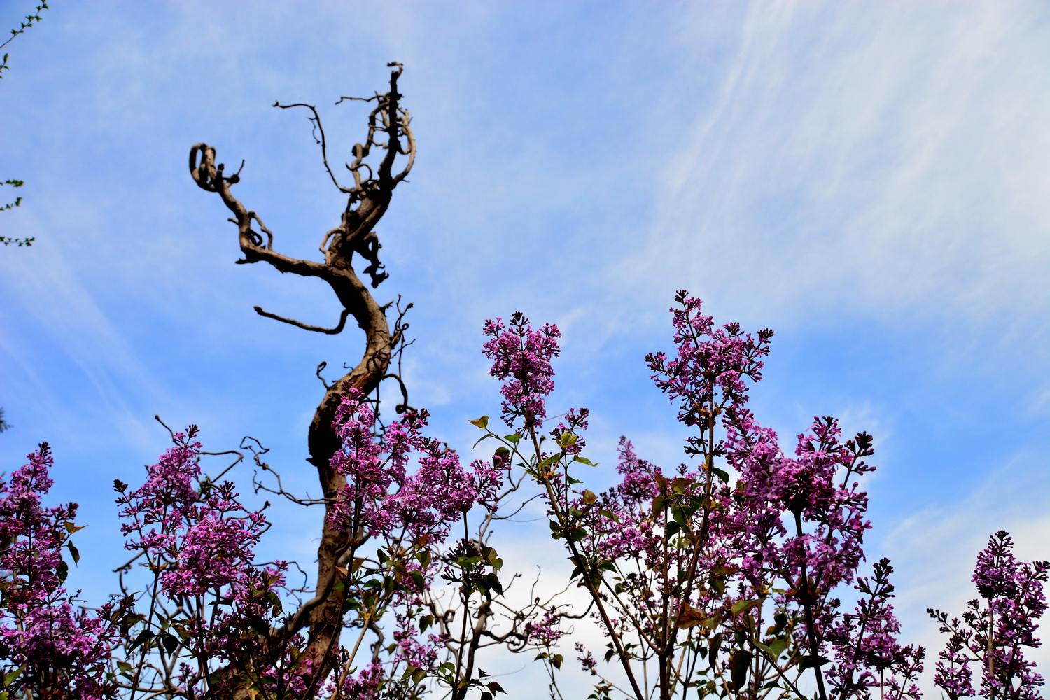 兰山公园在皋兰山上吗,站在兰山看风景