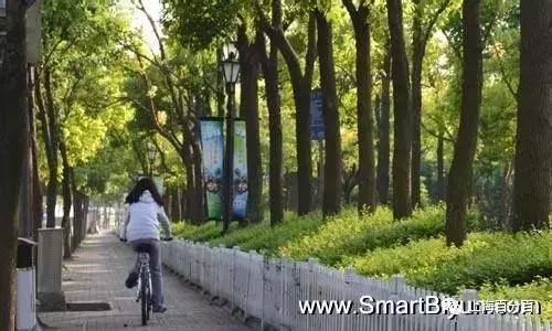 上海最美地方视频,上海最美的地方航拍