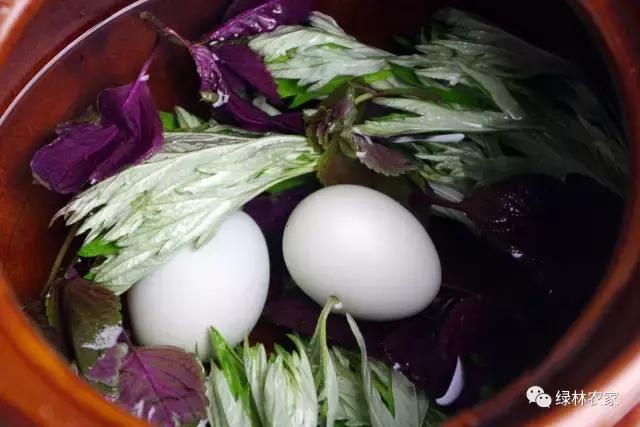 暖宫小秘方——艾草紫苏煮绿壳蛋