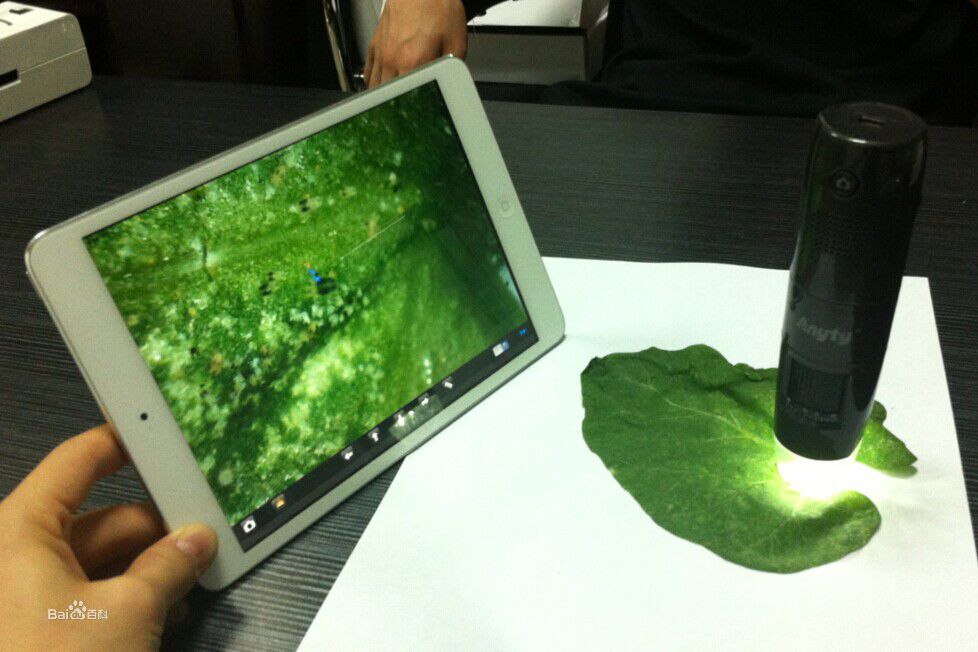 植物保护专业介绍ppt,植物保护专业招聘