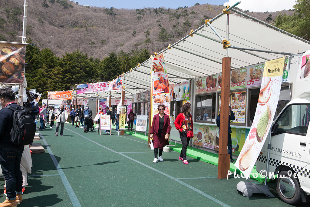 空姐在东京旅游,跟着游东京