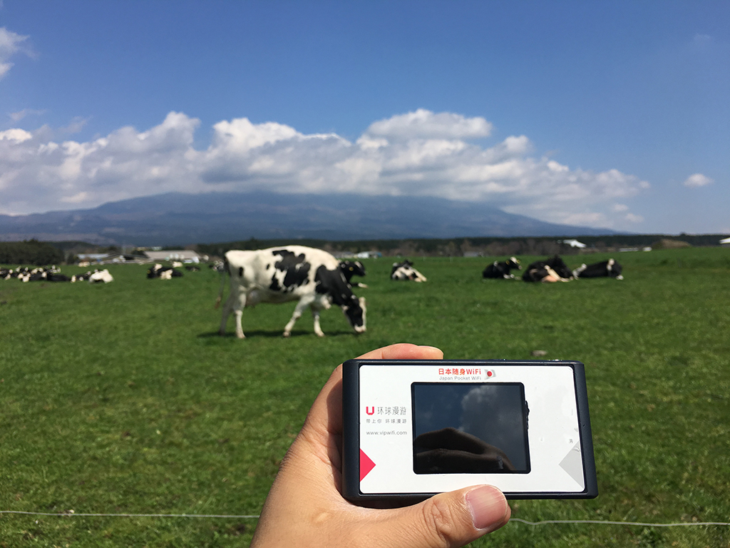 空姐在东京旅游,跟着游东京