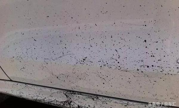 京车汇镀晶丨奥迪A3卡卡尓白金镀晶