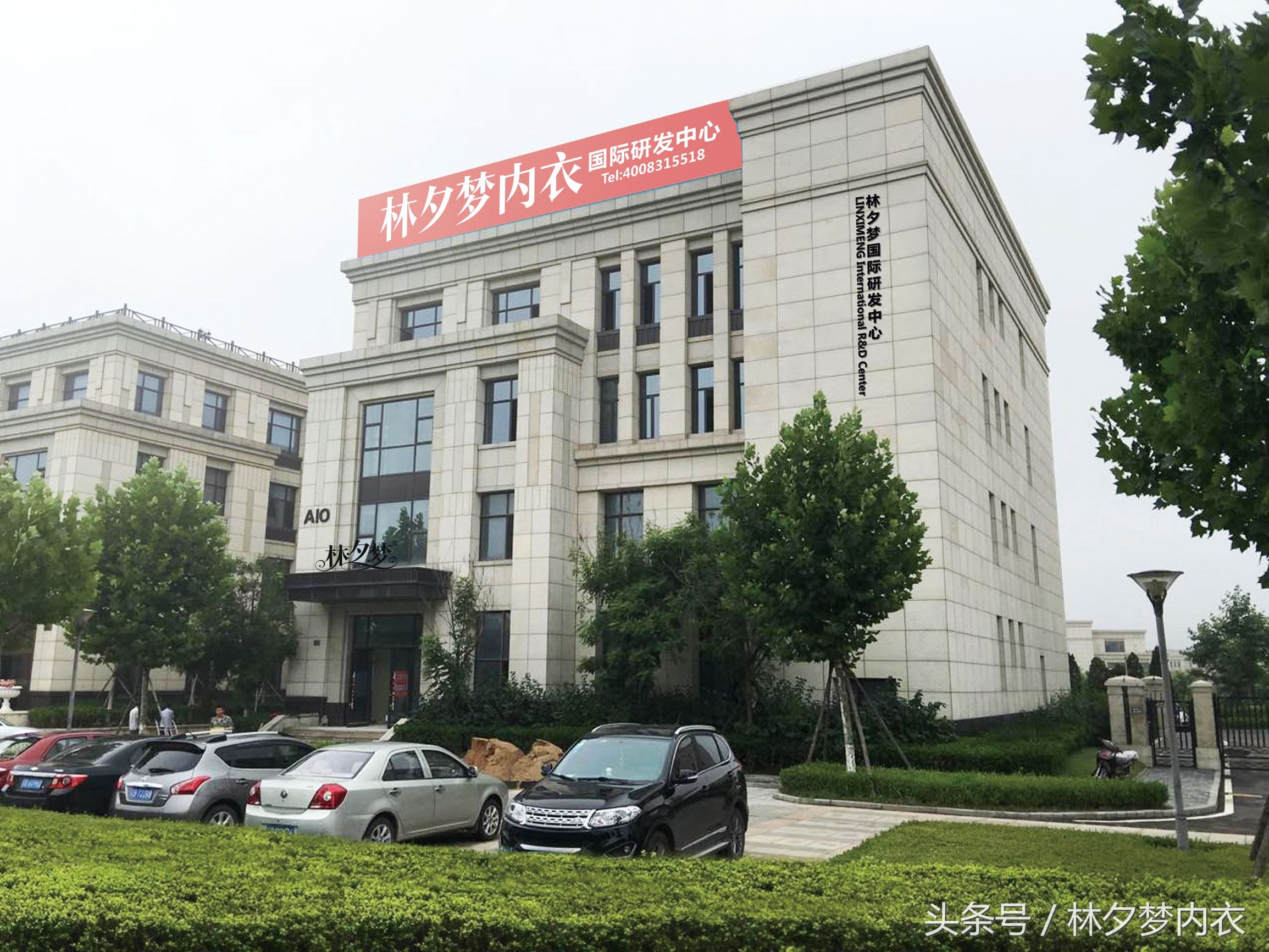 林夕梦内衣店大众点评,林夕梦无钢圈0甲醛内衣