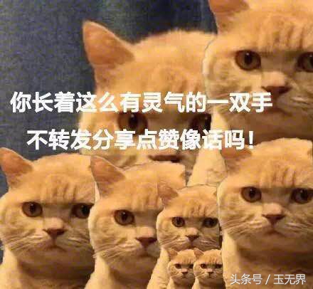 从事玉石加工行业的真相：看似光鲜亮丽，实则苦逼无比