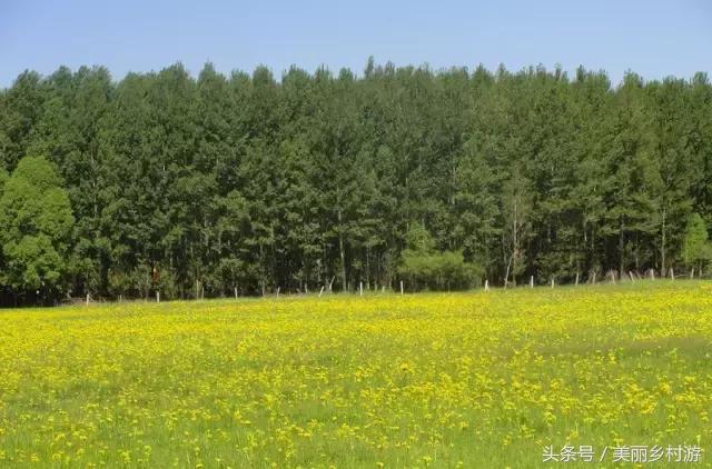 陕西省美丽宜居示范村,陕西美丽乡村名录