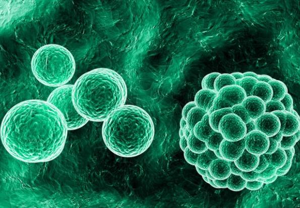 160万人,千亿级产业,每分钟有人上当,也许下一个就是你!