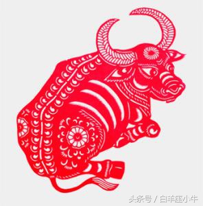 属牛人的天乙贵人:天乙文星,得之聪明智慧