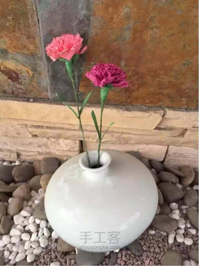 母亲节康乃馨图片大全大图,母亲节礼物手工康乃馨用卫生纸折