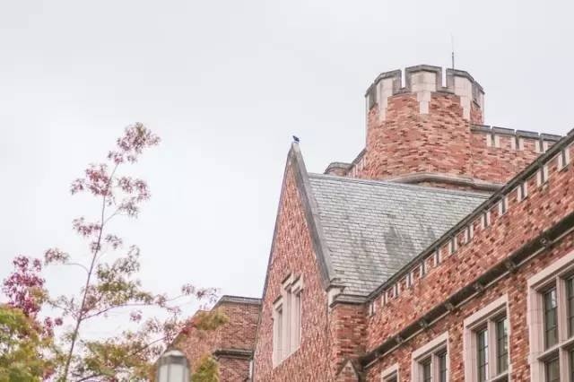 西雅图最浪漫的地方,西雅图一个充满文艺又浪漫的地方