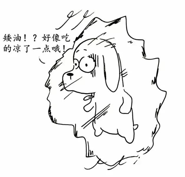 怎么让狗狗变贪吃,夏天怎么让狗毛不乱飞