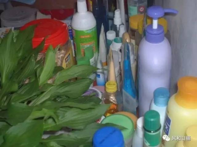 百雀羚刷屏广告为什么成功,百雀羚国货热潮