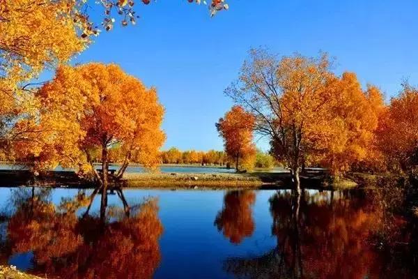 襄阳是什么？襄阳是襄阳人的骄傲！