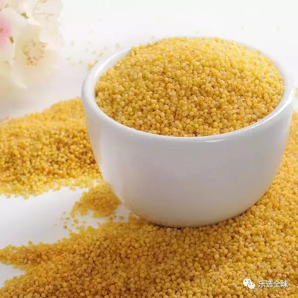 小米的功效与作用小米的营养价值,小米和黄小米的营养区别