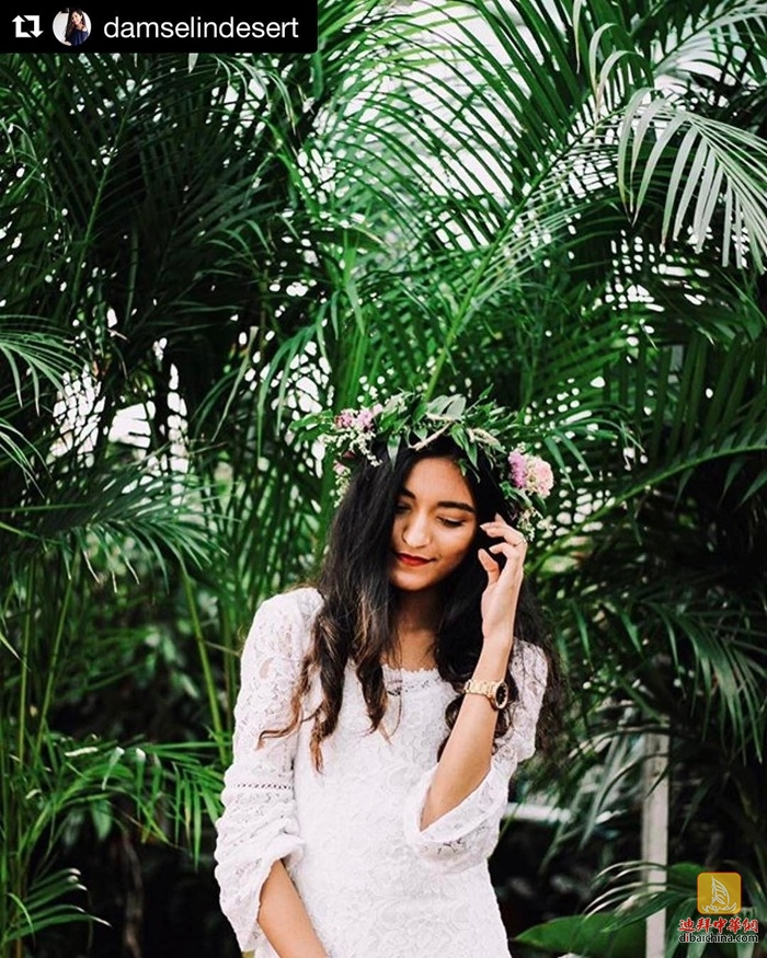 迪拜最大花卉市场在哪里,迪拜有几个花卉市场