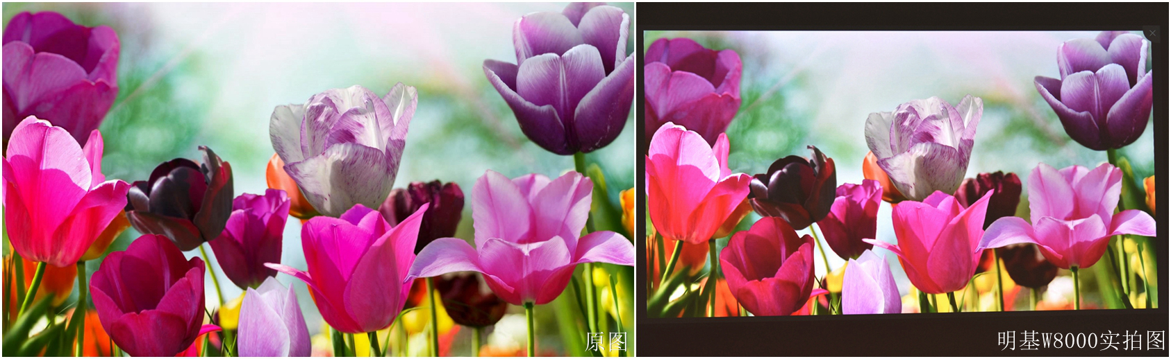 明基w14003d使用体验,明基w8000配置