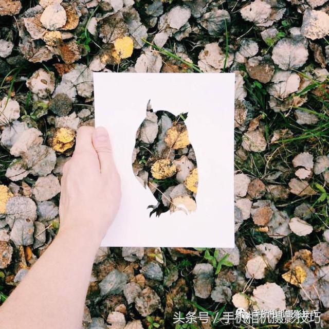 不用ps拍出惊艳的图片,在家自己拍摄10个创意摄影方法