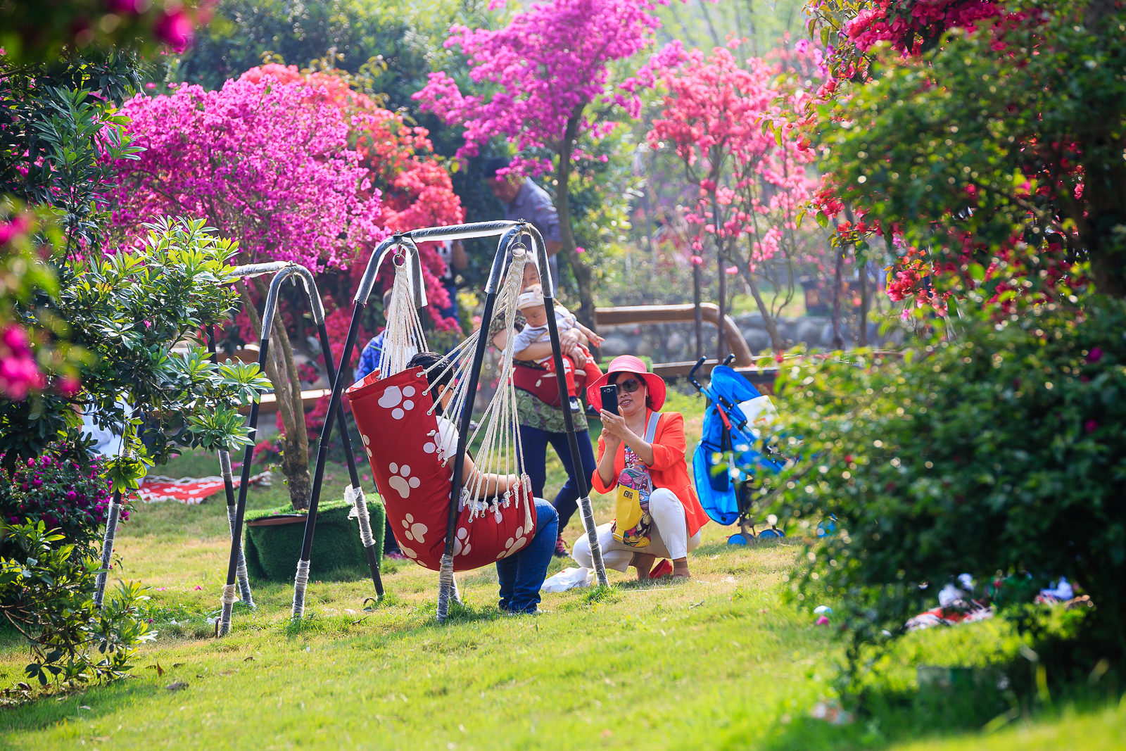 杨梅小镇简介,杨梅小镇的杨梅几月成熟