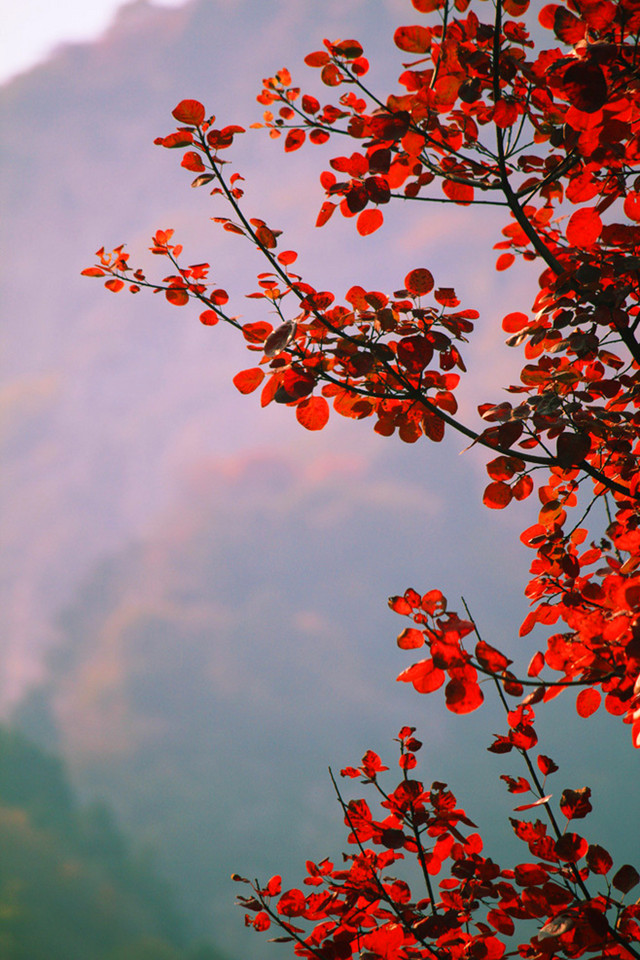 除了自驾或跟团之外，只需花1到3块钱，就能找到最美济南