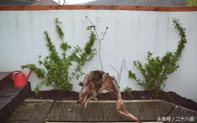 陶渊明笔下的世外桃源是什么样的,陶渊明悠然见南山的南山在哪里