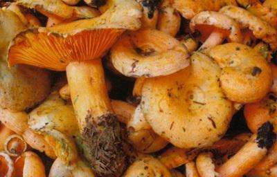 陆良的景点和小吃,曲靖陆良有名景点