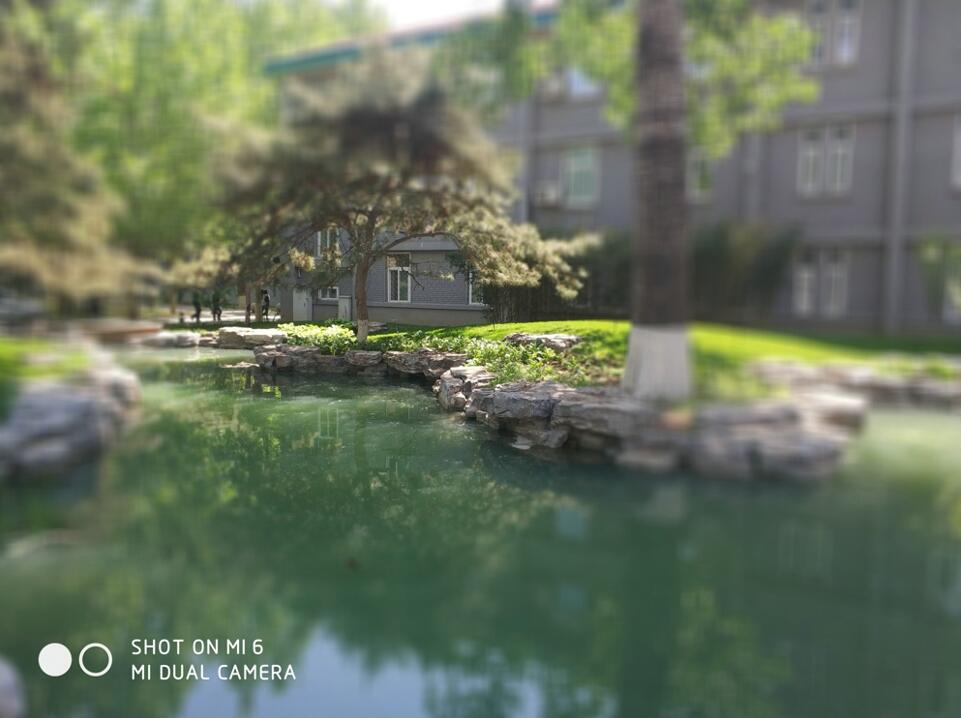 小米6拍照对比,小米6拍照水平