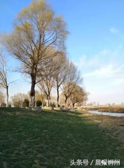 创文明城市特别策划：“我眼中最美春天”随后拍作品7