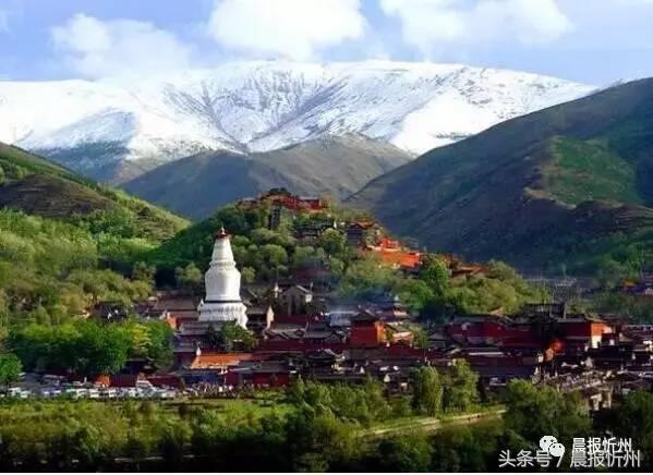 创文明城市特别策划：“我眼中最美春天”随后拍作品7