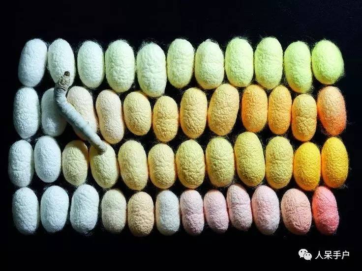 可爱的蚕宝宝怎么做,可爱的蚕宝宝