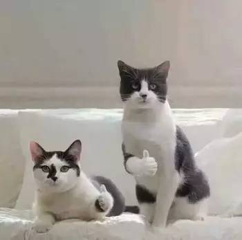 违章停车千万不要这么做,遇到乱停车怎么解气